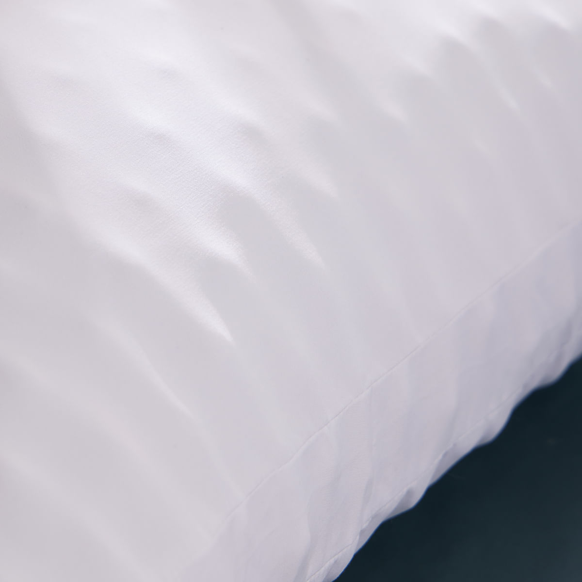 7702704405954-3.jpg