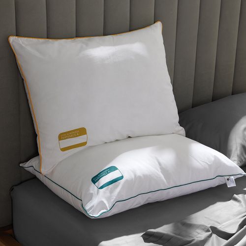 Set x 2 Almohadas (+) Plus Duplo Soporte Medio 50 x 70 Cm