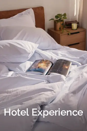 Hotel Experience